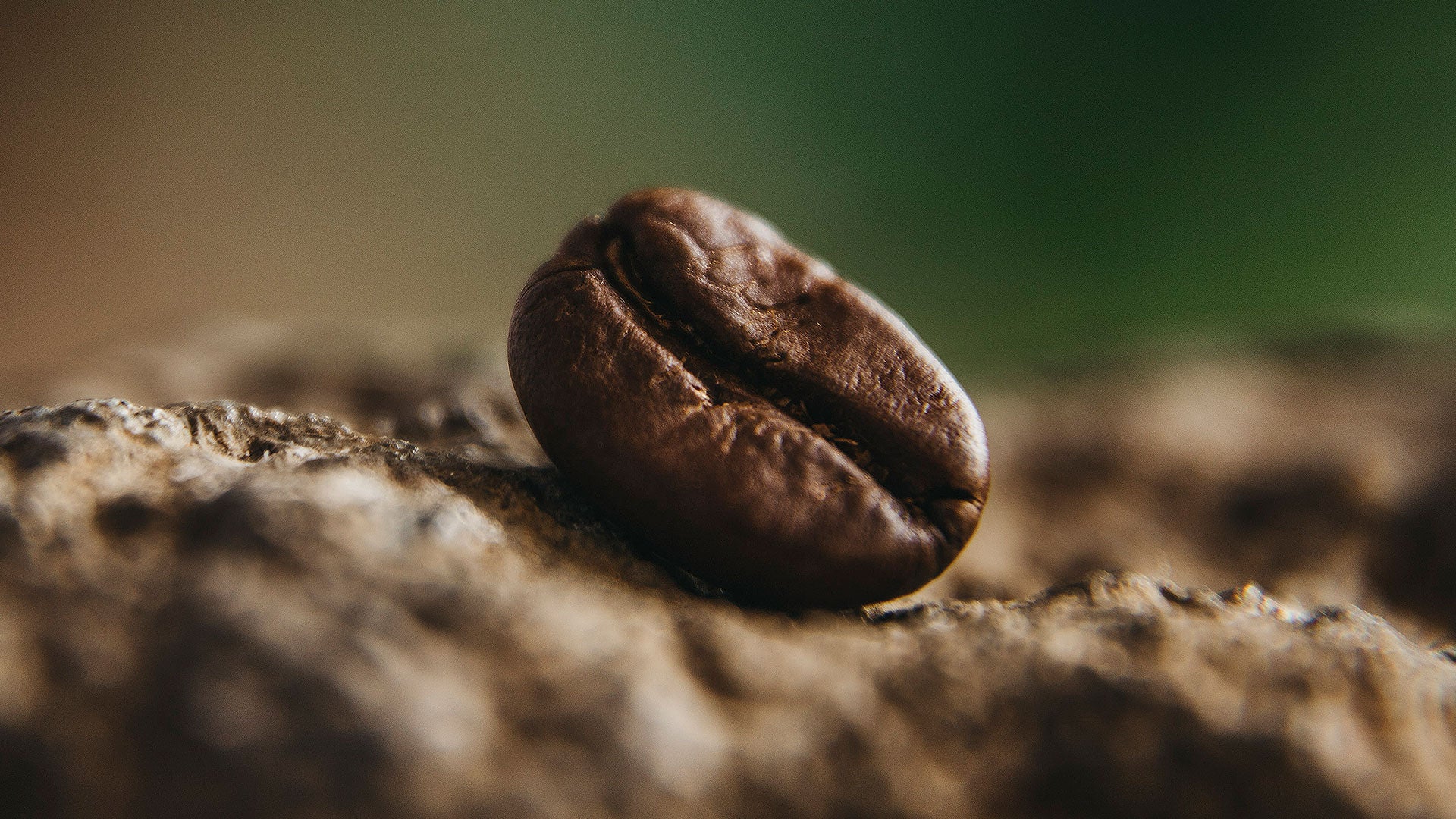 Coffee bean